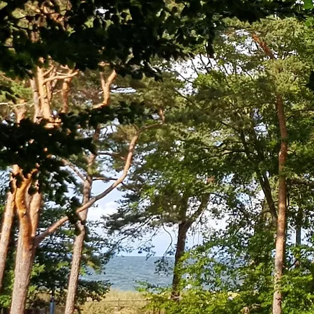 Strandhaus Auf Der Duene - Erste Reihe Am * زيمبين