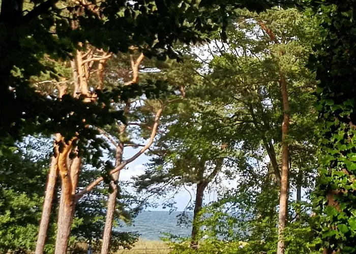 Strandhaus Auf Der Duene - Erste Reihe Am * زيمبين